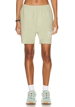Museum of Peace and Quiet Warped Sweat Shorts in Sage - Sage. Size XL/1X (also in ).