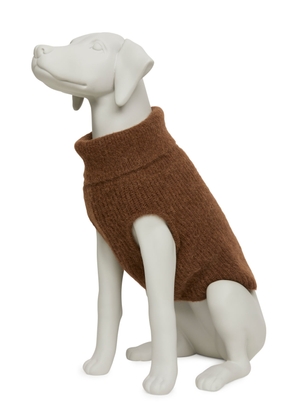 Dog Knitted Jumper - Beige