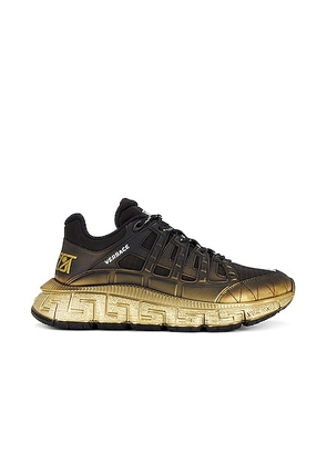 VERSACE Sneaker in Black & Gold - Black. Size 41 (also in ).