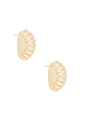 MEGA Snail Earring in 14k Yellow Gold Plated - Metallic Gold. Size all.