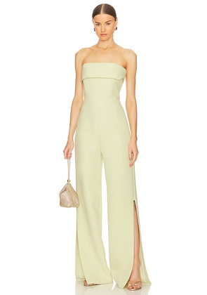 Alexis Kaye Jumpsuit in Sage. Size L, S.