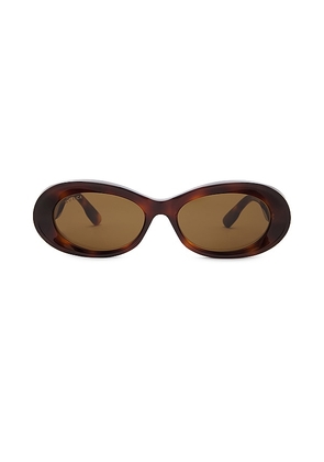 Gucci Thickness Oval Sunglasses in Brown.