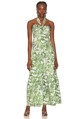 Karina Grimaldi Tania Print Dress in Green. Size M, XS.