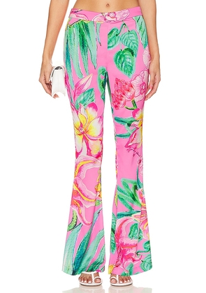 ROCOCO SAND Megan Flare Pants in Pink. Size M, S, XL, XS, XXS.