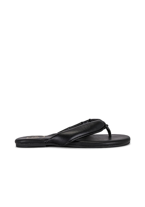 Solei Sea Gisel Sandal in Black. Size 10, 7, 8, 9.