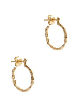 Lea Hoyer Leah Gold-plated Hoop Earrings