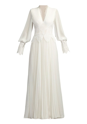 Tadashi Shoji Yates pleated chiffon lace gown - White