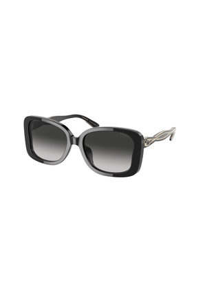 Coach Grey Gradient Butterfly Ladies Sunglasses HC8334U 50023C 53