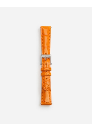 Dolce & Gabbana Alligator Strap With Buckle And Hook In Steel - Woman Watches&straps Orange Onesize