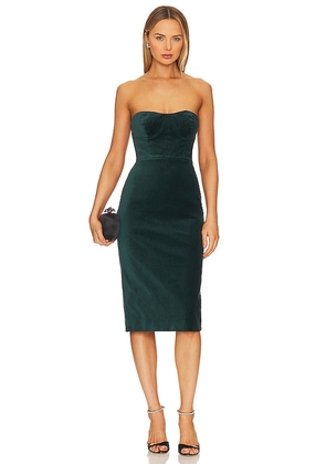 BCBGMAXAZRIA Velvet Bustier Dress in Green. Size 14, 2, 4, 6, 8.