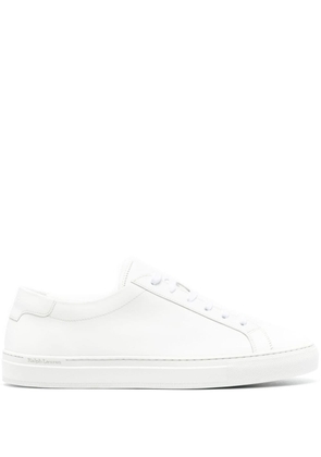 Polo Ralph Lauren Jermain Lux leather sneakers - White
