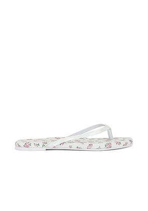 Solei Sea Floral Sandal in White. Size 11, 6, 7, 8, 9.