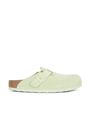 BIRKENSTOCK Boston Soft Footbed in Faded Lime - Sage. Size 41 (also in 42, 43, 44, 45, 46).