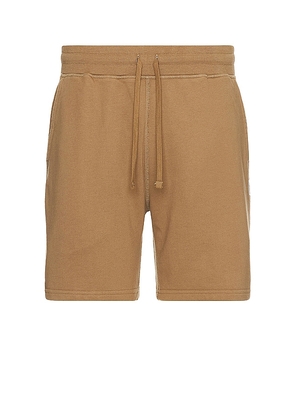 Reigning Champ Midweight Terry Sweatshort 6 in Brown. Size S, XL/1X.
