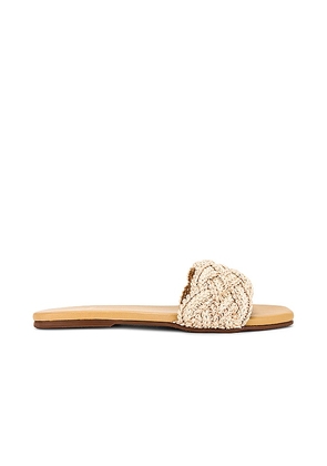 Kaanas Pansy Slide Sandal in Neutral. Size 11, 5, 6, 7, 9.