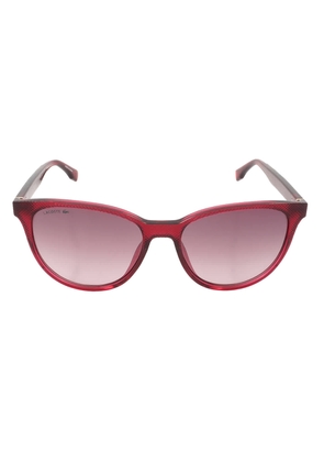 Lacoste Grey Gradient Oval Ladies Sunglasses L859S 525 56