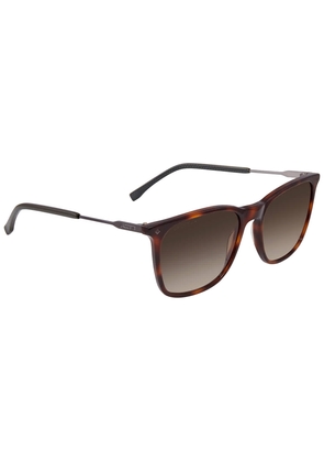 Lacoste Brown Gradient Square Unisex Sunglasses L870S 214 55