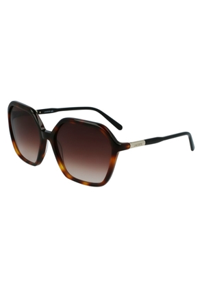Lacoste Brown Gradient Hexagonal Ladies Sunglasses L962S 230 60