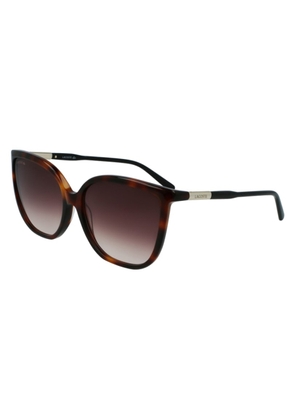 Lacoste Brown Gradient Cat Eye Ladies Sunglasses L963S 230 59