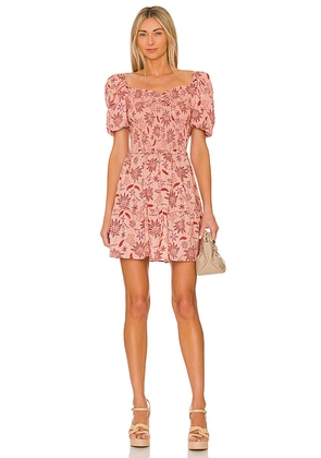 Steve Madden Cotton Candy Dress in Pink. Size XS.