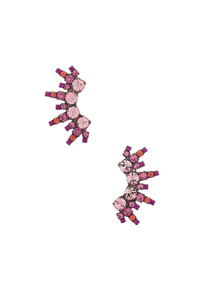 Elizabeth Cole Coraline Earrings in Pink.