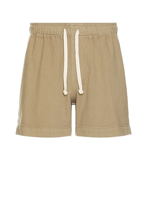 FRAME Textured Terry Short in Olive. Size M, S, XL/1X.