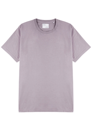 Colorful Standard Cotton T-shirt - Lilac - Xxl