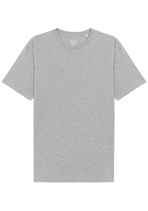 Colorful Standard Cotton T-shirt - Light Grey - L