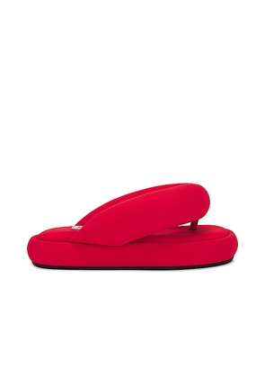 FIORUCCI Puffy Flip Flops in Red. Size 37, 38, 39, 40, 41.