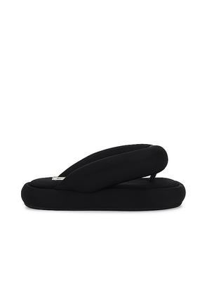 FIORUCCI Black Fluff Flops in Black. Size 37, 38, 39, 40.