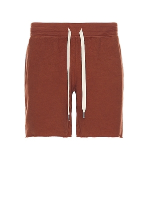 NSF Slim Cut Off Shorts in Rust. Size XL.