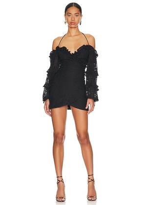 Tularosa Lindsey Mini Dress in Black. Size S, XS.