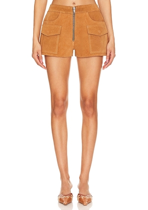 Understated Leather Sugar Suede Shorts in Tan. Size M, S, XL.