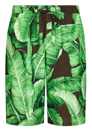 Dolce & Gabbana banana leaf-print Bermuda shorts - Green