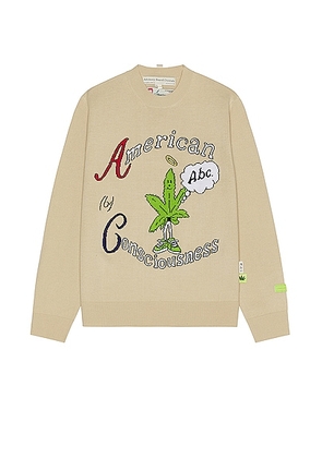 Advisory Board Crystals American Consciousness Sweater in Natural White - Nude. Size S (also in M).