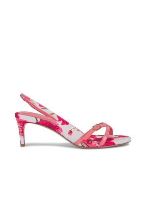 Alexandre Birman Maia 60 Sandal in Pink. Size 36, 38, 39, 40.