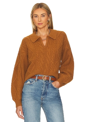 Steve Madden Cay Sweater in Brown. Size M, S, XL.