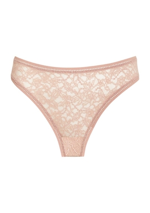 Wolford Lace Briefs