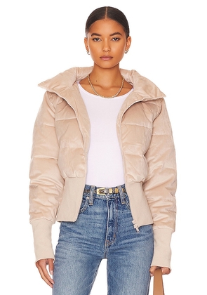 Unreal Fur New Amsterdam Jacket in Taupe. Size XS.