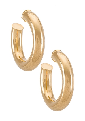 joolz by Martha Calvo Tubular Hoops Earrings in Metallic Gold.