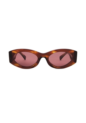 Miu Miu Oval Sunglasses in Brown.