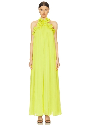 PatBO Hand Embroidered Flower Gown in Yellow. Size 4, 6.