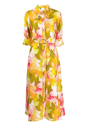 Acler Pickett floral-print dress - Multicolour
