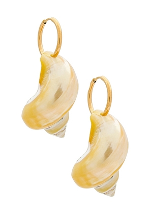 Casa Clara Shell Earrings in Ivory.