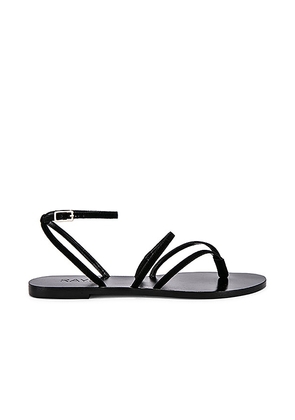RAYE Void Sandal in Black. Size 6, 6.5, 8.5.