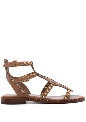 Ash Plaza leather sandals - Brown