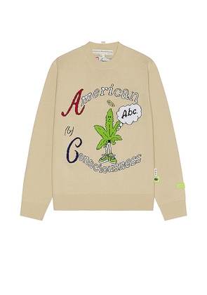 Advisory Board Crystals American Consciousness Sweater in Nude. Size S.
