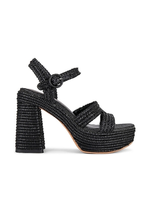 Dolce Vita Lacye Heel in Black. Size 6, 7.5, 8, 8.5, 9, 9.5.