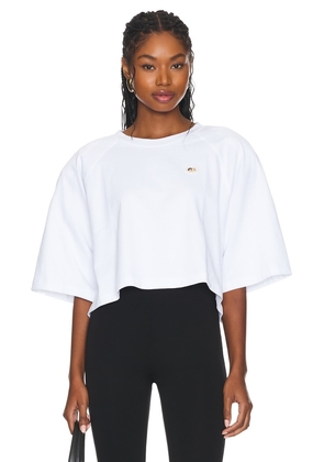 FIORUCCI Cropped Padded T-shirt in White. Size M, S, XL, XS.
