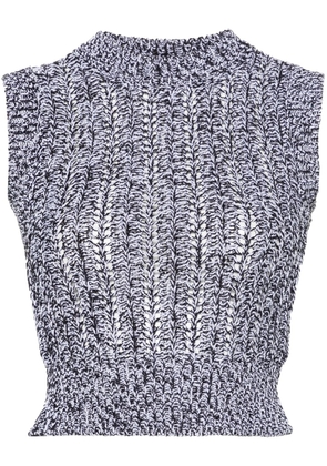 Peserico sequined cropped knitted top - Blue